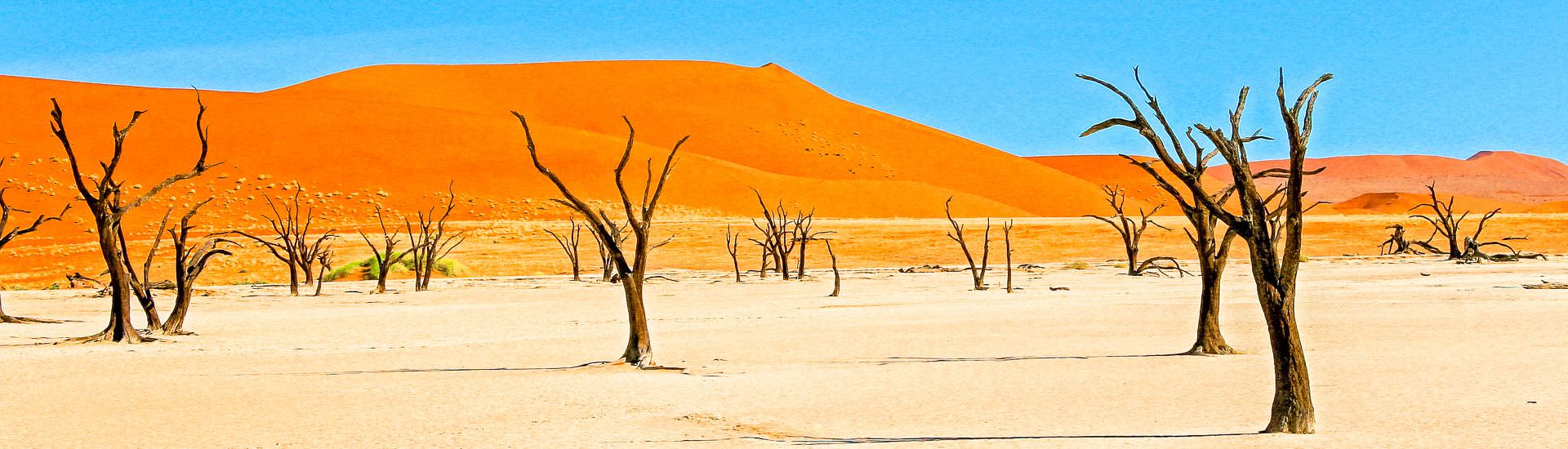 Sossusvlei |  Wolfgang Riese / Chamleon