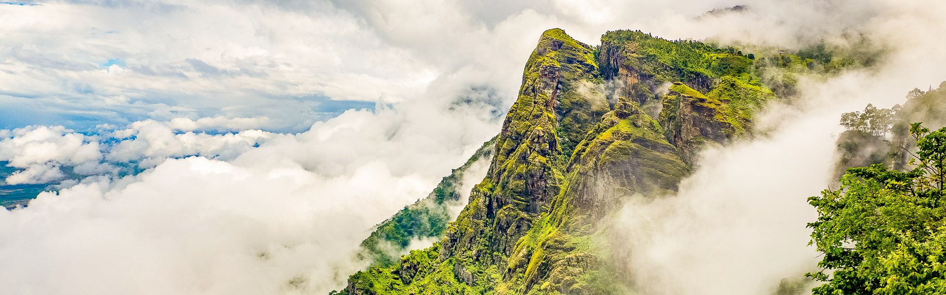 Usambara Berge |  Mathias Mller, iStockphoto.com / Chamleon