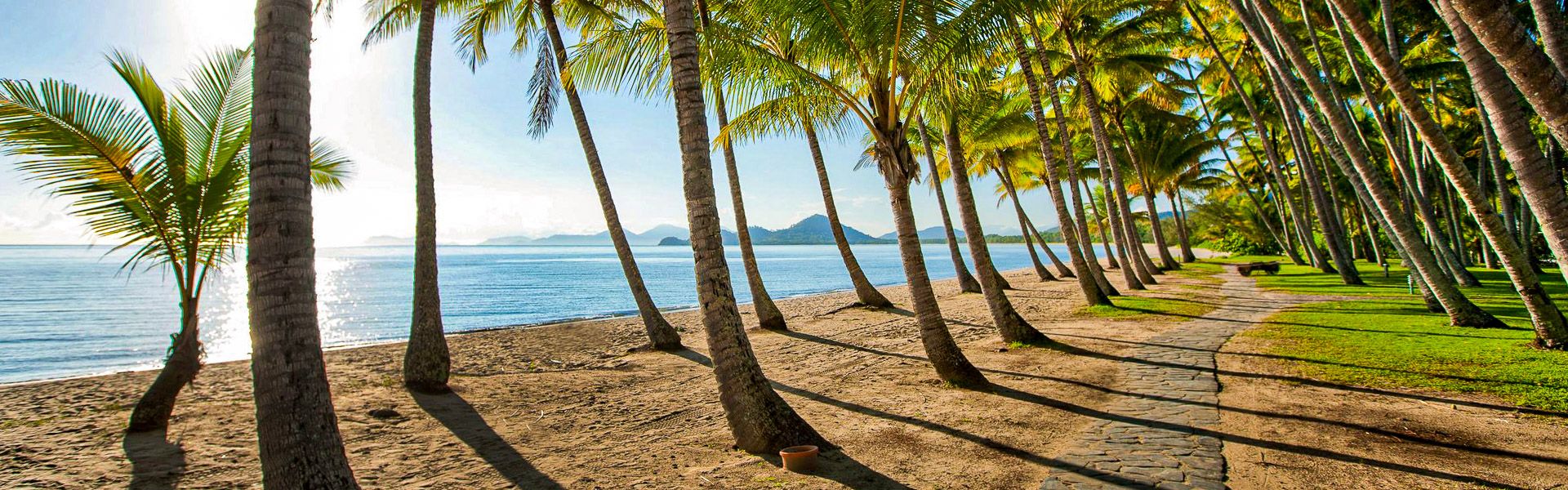 Durch einen Wald aus Palmen zum Strand |  Grand Chancellor Palm Cove / Chamleon